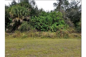 Foliage CT, North Port, FL 34288 - MLS#2025021314
