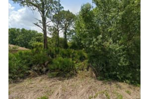 2235 Puffin Street, Sebring, FL 33870 - MLS#2025021542