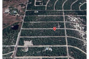 3234 Flatbush Avenue, Lake Placid, FL 33852 - MLS#2025021694