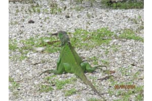 2754 Shoreview Drive, Naples, FL 34112 - MLS#2025021809