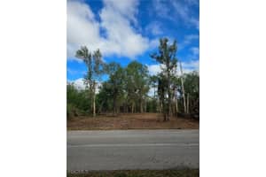 27442 Twin Lakes Drive, Punta Gorda, FL 33955 - MLS#2025021851