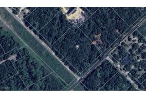 8783 Buttercup Way, Citrus Springs, FL 34428 - MLS#2025021907