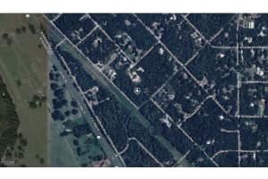 8783 Buttercup Way, Citrus Springs, FL 34428 - MLS#2025021907