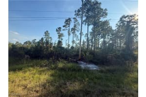 1086 Ainsworth Street, Lehigh Acres, FL 33974 - MLS#2025021934