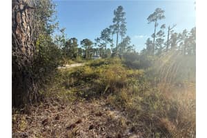 1086 Ainsworth Street, Lehigh Acres, FL 33974 - MLS#2025021934