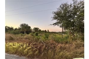 4307 19th Street, Lehigh Acres, FL 33972 - MLS#2025022641