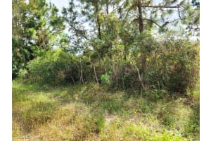 916 Ashley Oaks Drive, Lehigh Acres, FL 33974 Sold 03/13/26