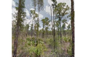 20294 Glenwood Road, North Fort Myers, FL 33917 - MLS#2025023757