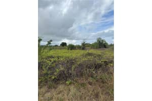 1503 Irving Avenue, Lehigh Acres, FL 33972 - MLS#2025023934