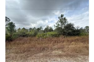 511 Louis Avenue, Lehigh Acres, FL 33972 - MLS#2025024061