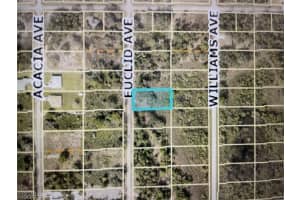 1438 Euclid Avenue, Lehigh Acres, FL 33972 - MLS#2025025620