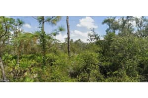 33502 Walnut Drive, Punta Gorda, FL 33982 - MLS#2025025795