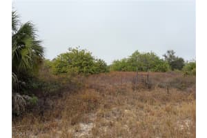 1509 Wells Avenue, Lehigh Acres, FL 33972 - MLS#2025025868