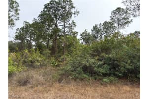 1310 Irving Avenue, Lehigh Acres, FL 33972 - MLS#2025025871