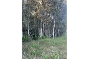 33608 Oil Well Road, Punta Gorda, FL 33955 Sold 03/27/26