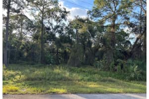 1711 Greenwood Avenue, Lehigh Acres, FL 33972 - MLS#2025026204