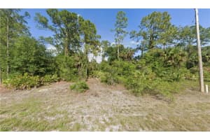 165 Birch Avenue, Lehigh Acres, FL 33974 - MLS#2026000643