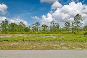 317 Bradley Avenue, Lehigh Acres, FL 33974 - MLS#2026000940