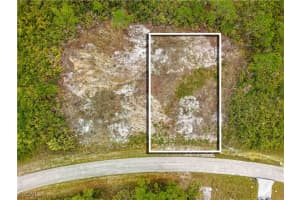 317 Bradley Avenue, Lehigh Acres, FL 33974 - MLS#2026000940