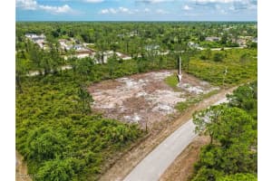 317 Bradley Avenue, Lehigh Acres, FL 33974 - MLS#2026000940