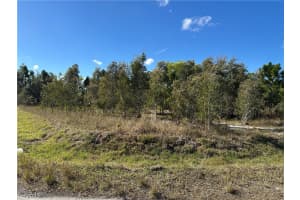 920 Panda Drive, Lehigh Acres, FL 33974 - MLS#2026001273