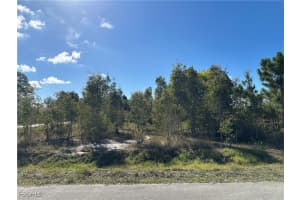 920 Panda Drive, Lehigh Acres, FL 33974 - MLS#2026001273
