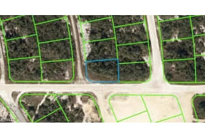 446 Fawnwood Avenue, Lake Placid, FL 33852 - MLS#2026002207