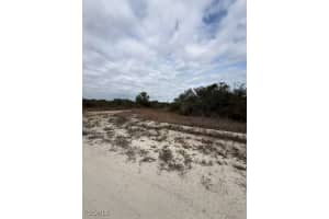 446 Fawnwood Avenue, Lake Placid, FL 33852 - MLS#2026002207