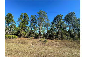 849 Knox Avenue, Lehigh Acres, FL 33974 - MLS#2026002542