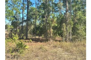 849 Knox Avenue, Lehigh Acres, FL 33974 - MLS#2026002542