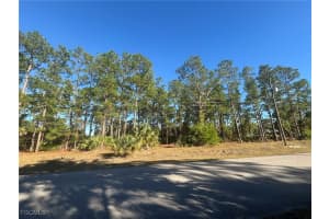 502 Canton Avenue, Lehigh Acres, FL 33972 - MLS#2026003418