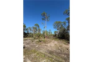 230 Ocean Park Drive, Lehigh Acres, FL 33972 - MLS#2026003519