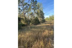 267 Woodburn Drive, Lehigh Acres, FL 33972 - MLS#2026004170