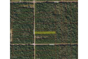 , Naples, FL 34117 - MLS#2026004771