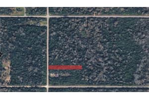 , Naples, FL 34117 - MLS#2026004771