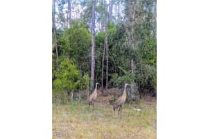 1904 Ney Court, Lehigh Acres, FL 33972 - MLS#2026004906