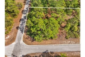 4206 13th Street, Lehigh Acres, FL 33972 - MLS#2026005791