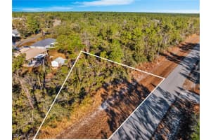 1234 Wildflower Street, Lake Placid, FL 33852 - MLS#2026005793