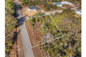 1250 Jersey Street, Lake Placid, FL 33852 - MLS#2026005796