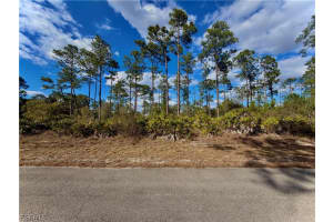 3403 9th Street, Lehigh Acres, FL 33972 - MLS#2026006210