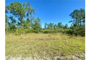 2178 Winnetka Drive, Lehigh Acres, FL 33972 - MLS#2026006268