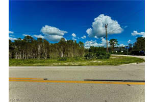 1009/1011 Homestead Road, Lehigh Acres, FL 33974 - MLS#2026007842