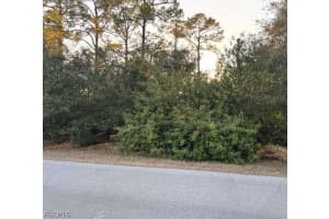 1419 Sheldon Avenue, Lehigh Acres, FL 33972 - MLS#2026007941