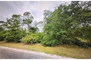 1419 Sheldon Avenue, Lehigh Acres, FL 33972 - MLS#2026007941
