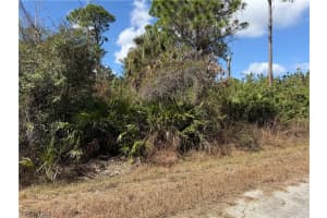 321 Irving Avenue, Lehigh Acres, FL 33936 - MLS#2026008051