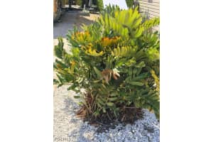 5284 Cypress Trail Resort Circle, Fort Myers, FL 33905 - MLS#2026008127