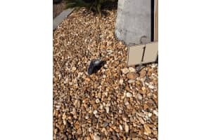 5100 Cypress Trail Resort Circle, Fort Myers, FL 33905 - MLS#2026008133