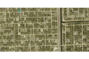 2700 55th Street, Lehigh Acres, FL 33971 - MLS#2026008848