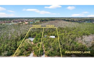 11580 Palomino Lane, Fort Myers, FL 33912 - MLS#2026009177