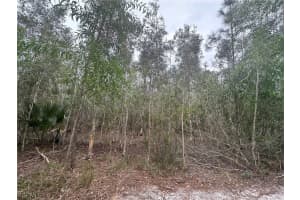 2258 Brooklawn Drive, North Fort Myers, FL 33917 - MLS#2026009292